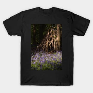 Hidden bluebell wood T-Shirt